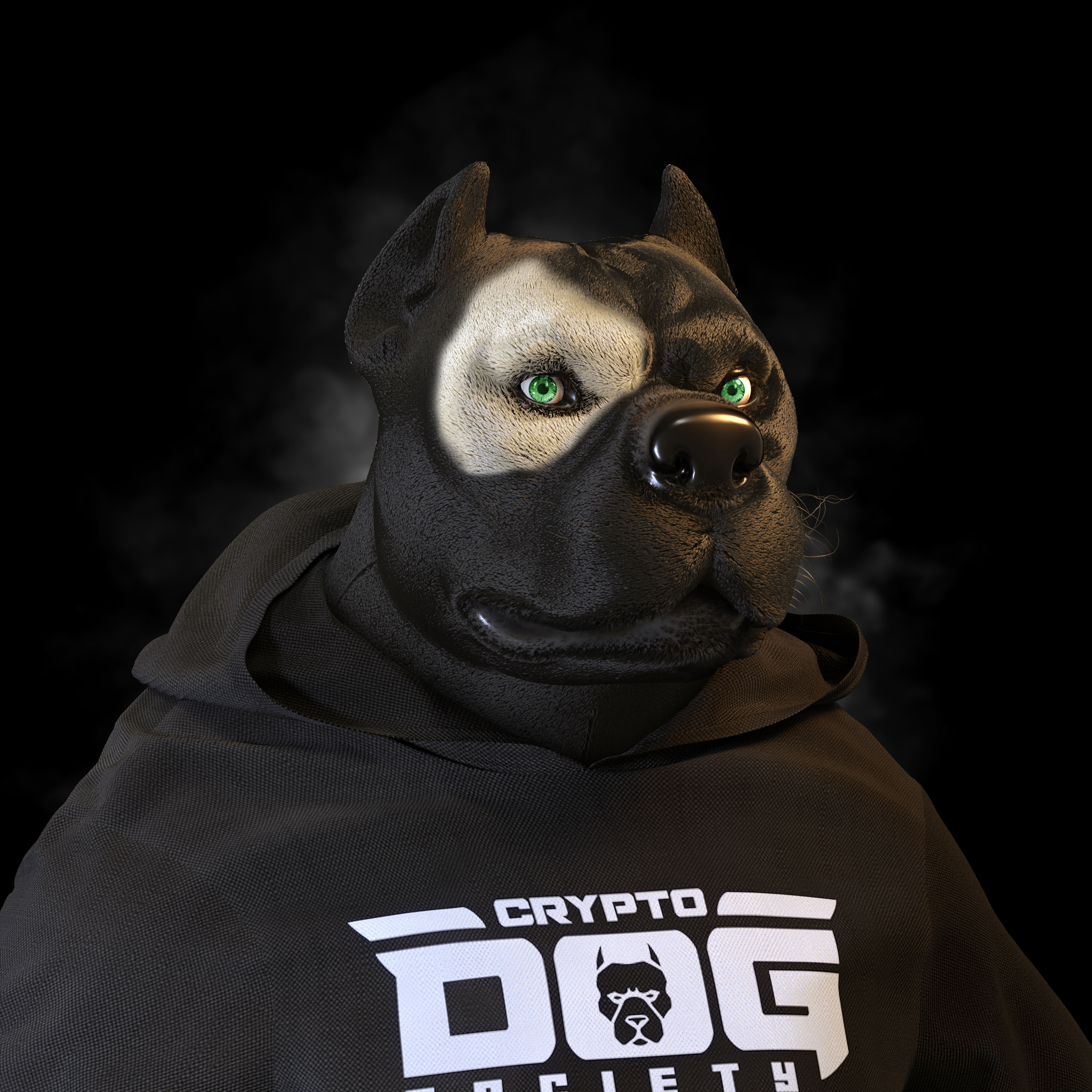 Cryptodog #1581