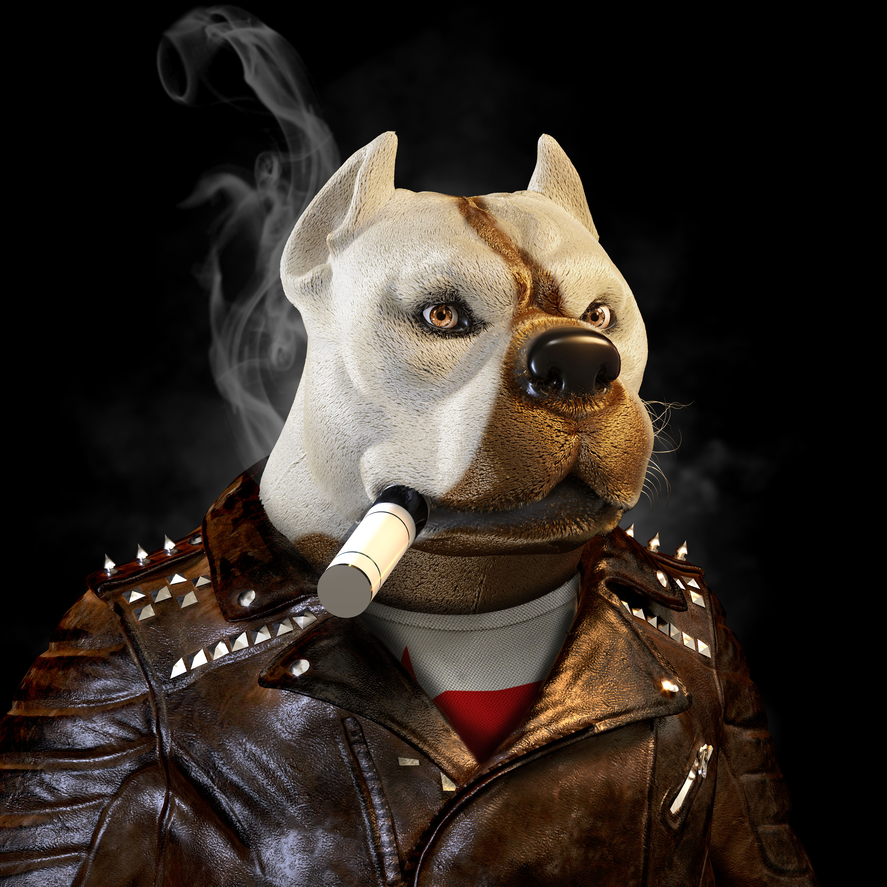 Cryptodog #2534