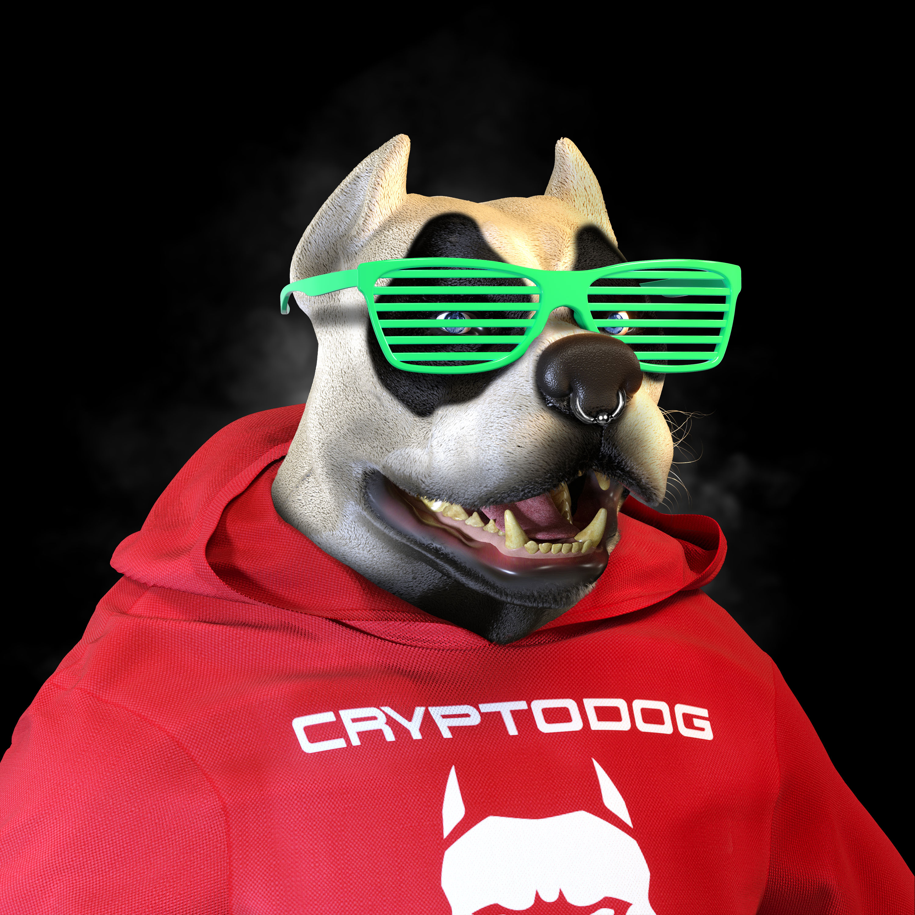 Cryptodog #5650