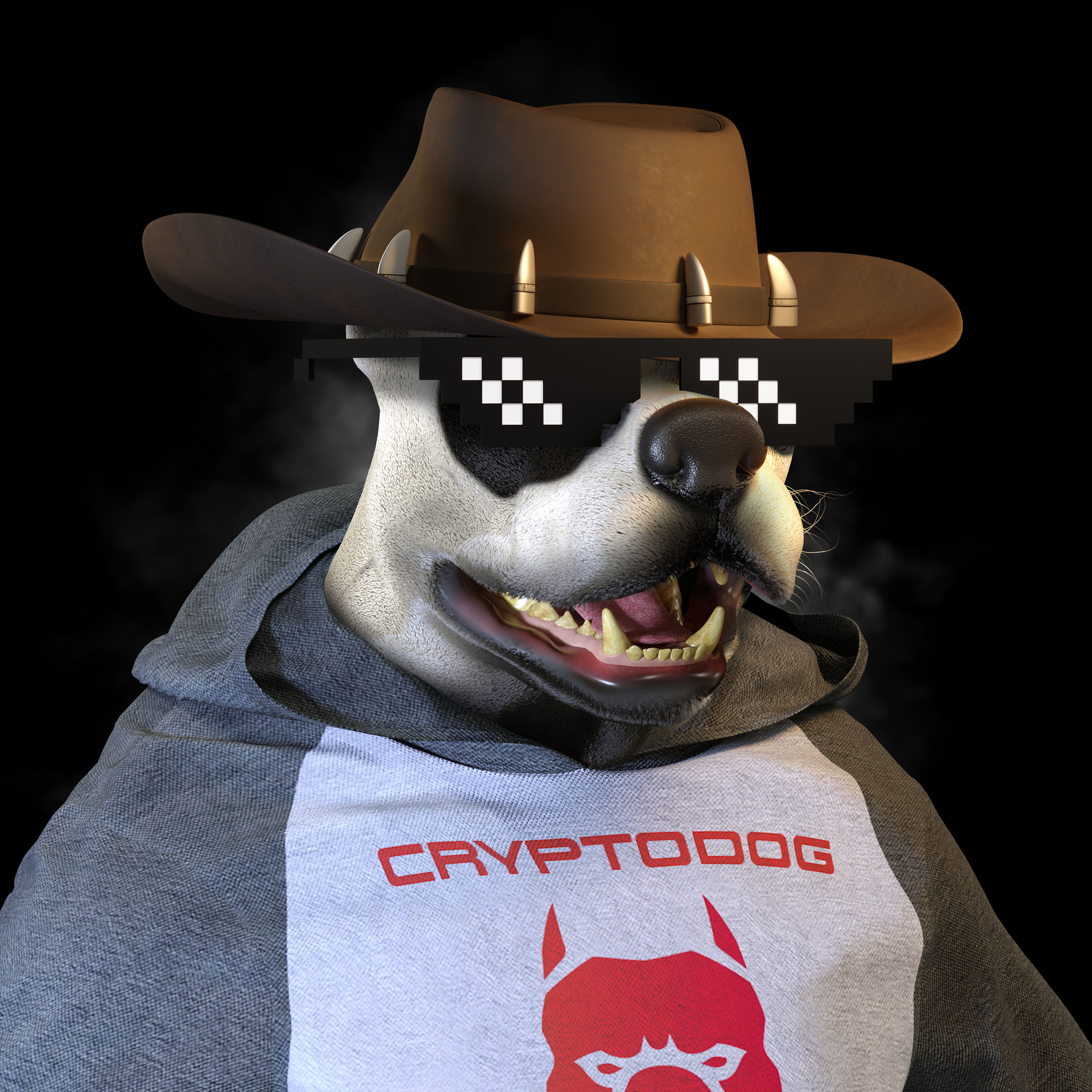 Cryptodog #5878