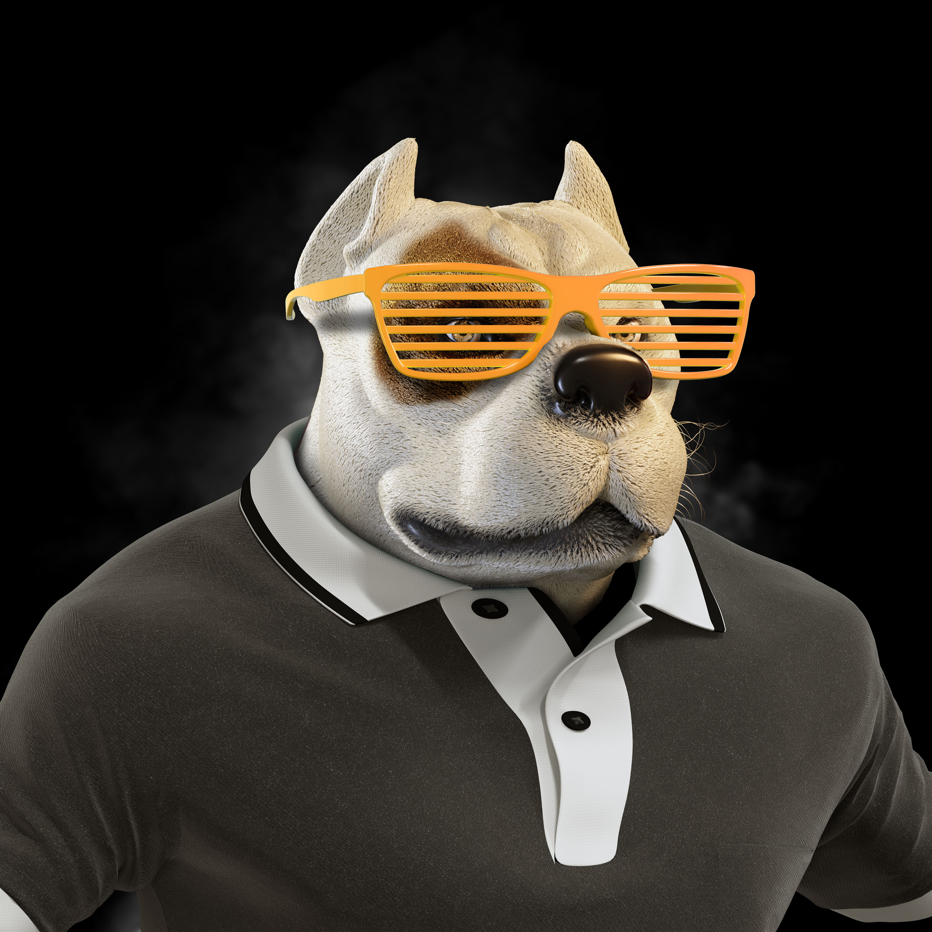 Cryptodog #0072